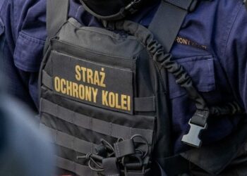 Nielegalny imigrant zatrzymany na Dworcu Głównym we Wrocławiu