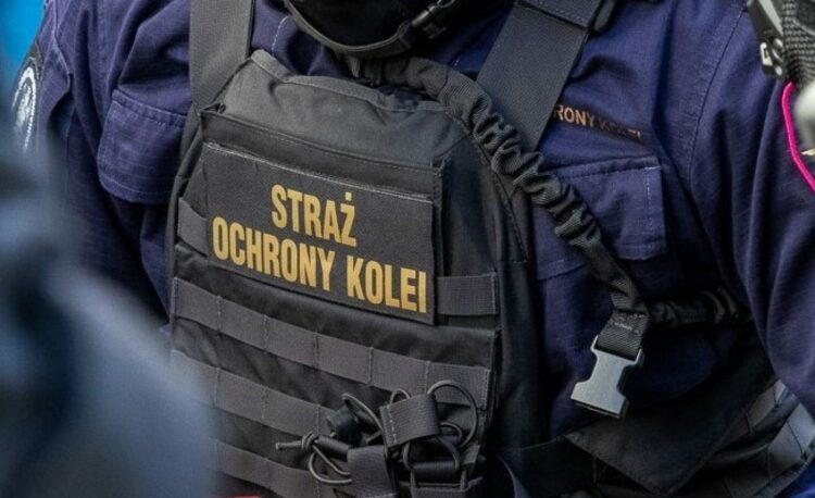 zdjęcie ilustracyjne, fot. Straż Ochrony Kolei