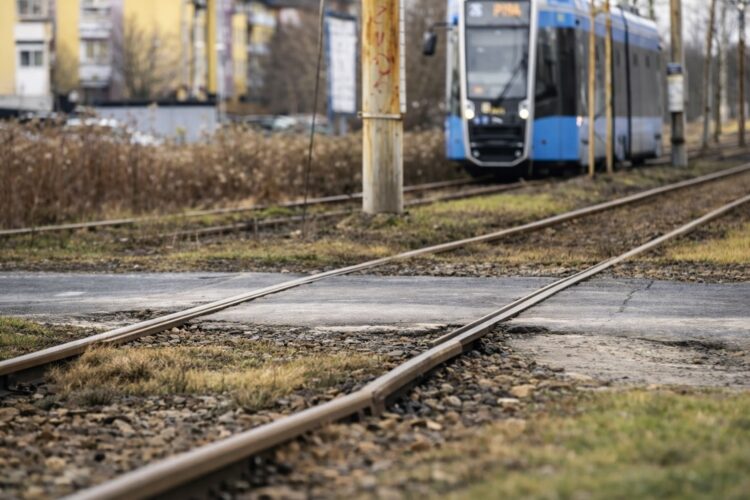 Grafika ilustracyjna, prawywroclaw.pl