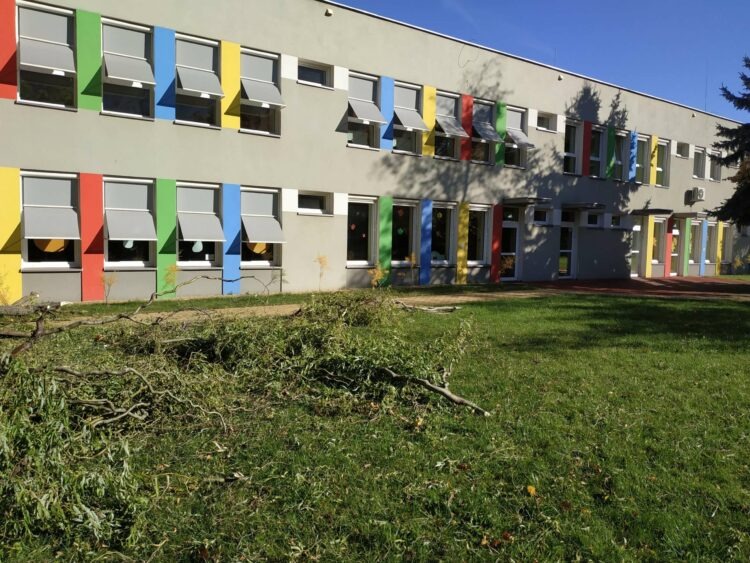 fot. Wrocławski Zespół Żłobków