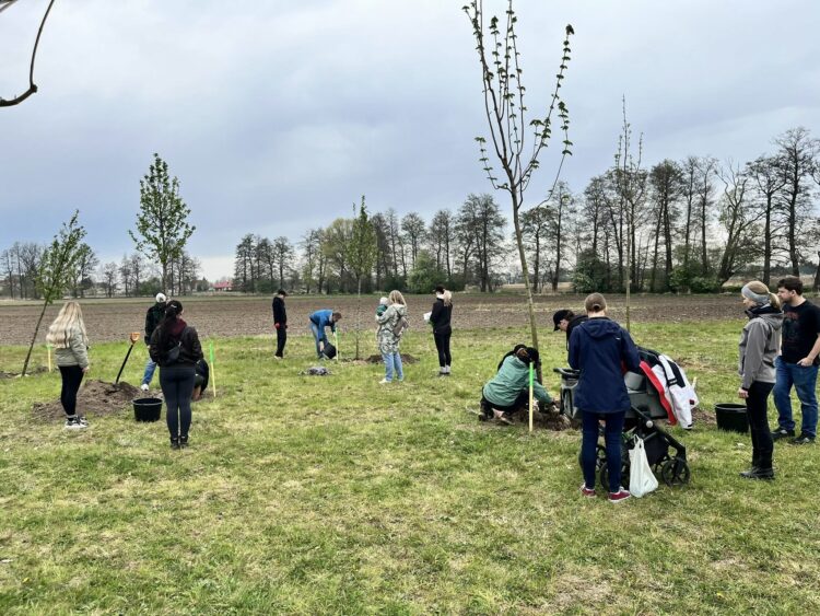 fot. materiały prasowe