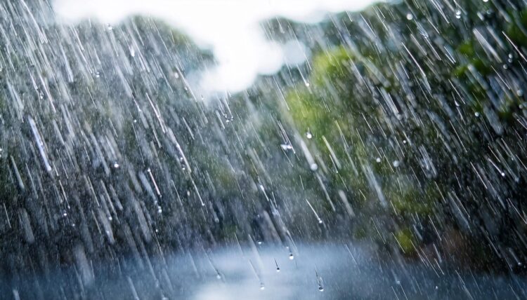 grafika ilustracyjna, freepik.com