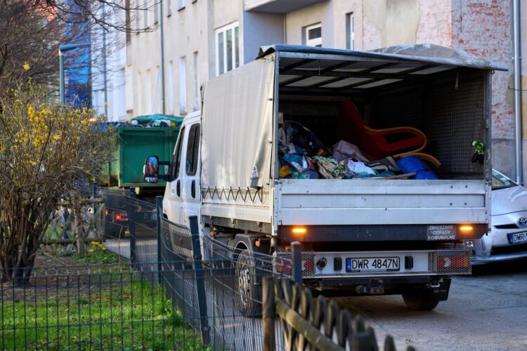 zdjęcie ilustracyjne, fot. Ekosystem