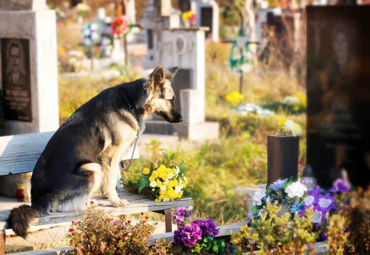 Visiting and putting on of flowers on tombs of the died relatives and friends .