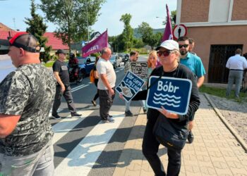 Protest w obronie Bobru zakończony. Kilkugodzinne utrudnienia na DK5 i apel o wyjaśnienie katastrofy ekologicznej