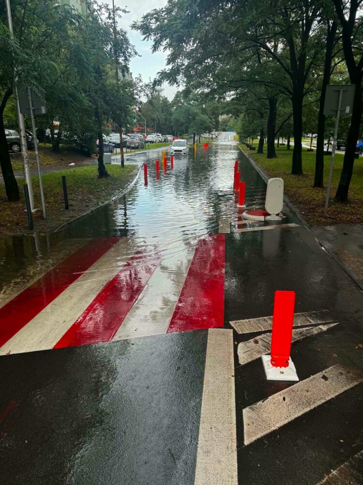 fot. Biuro Prasowe UM Wrocławia