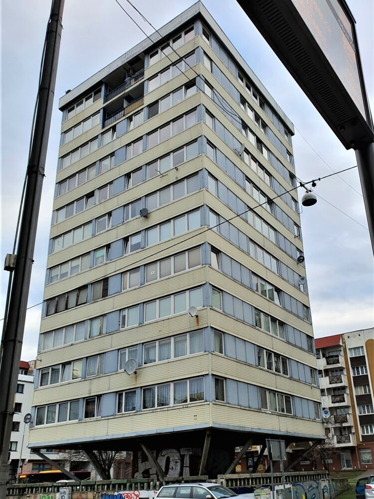 Trzonolinowiec, fot. redakcja prawywroclaw.pl