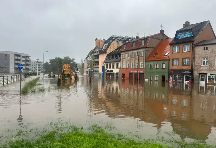 zdjęcie ilustracyjne, fot. UM Jelenia Góra