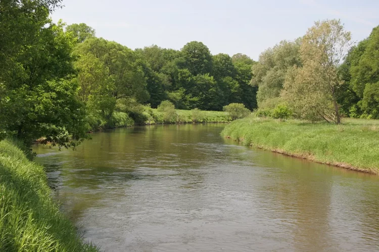 Rzeka Bóbr Fot. rem49, CC 3.0, Wikimedia Commons