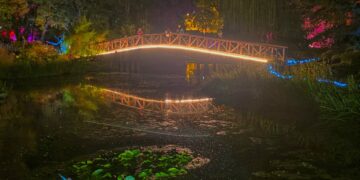 Wrocławski Ogród Botaniczny rozbłyska po zmroku