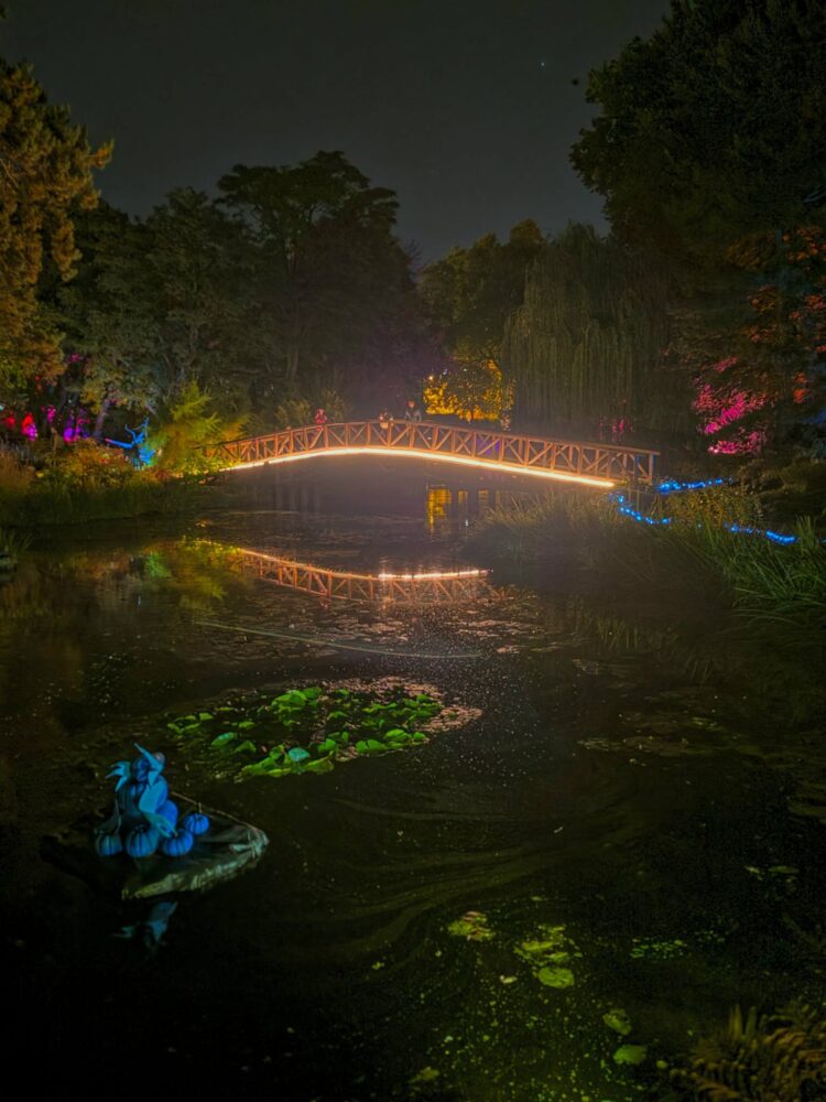 fot. Ogród Botaniczny Uniwerstytetu Wrocławskiego