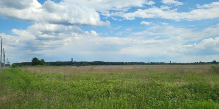 fot. Wrocławskie Inwestycje