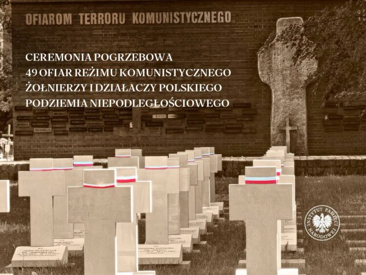 mat. organizatora
